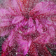 Illustration for article titled 33 Frozen Photos Taken Through Ice